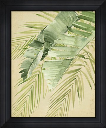 Framed Banana Palms II Print