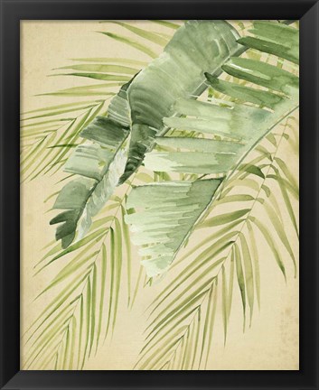 Framed Banana Palms II Print