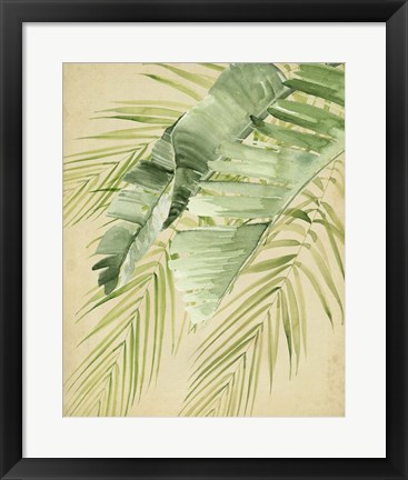 Framed Banana Palms II Print