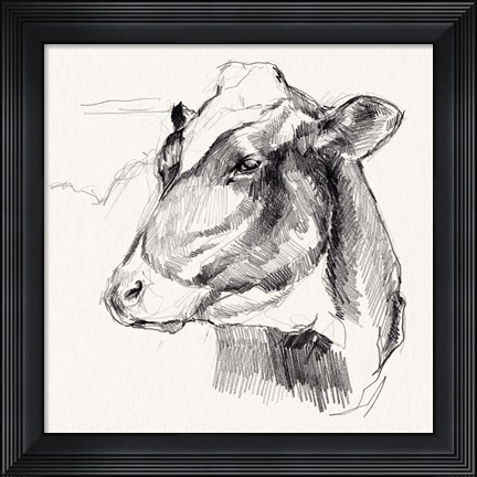 Framed Holstein Portrait Sketch II Print