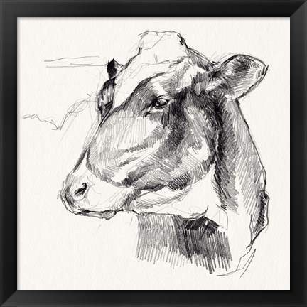 Framed Holstein Portrait Sketch II Print