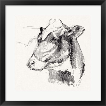 Framed Holstein Portrait Sketch II Print