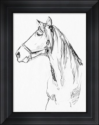 Framed Bridle Portraits I Print