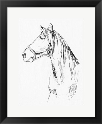 Framed Bridle Portraits I Print