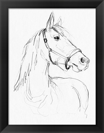 Framed Bridle Portraits II Print