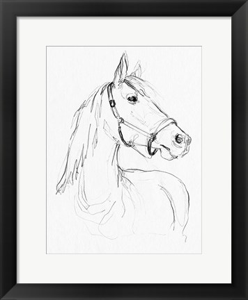 Framed Bridle Portraits II Print