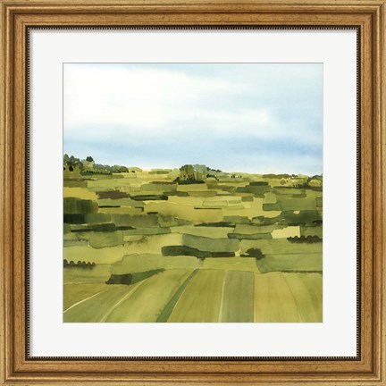 Framed Green Gold Valley I Print