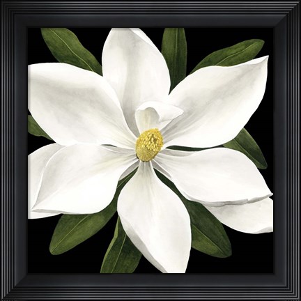 Framed Midnight Magnolia I Print