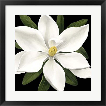 Framed Midnight Magnolia I Print