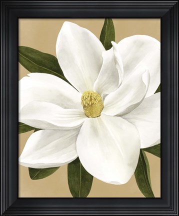 Framed Magnolia on Gold I Print