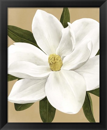 Framed Magnolia on Gold I Print