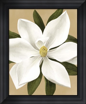 Framed Magnolia on Gold II Print