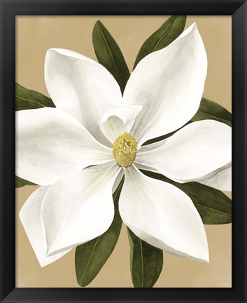 Framed Magnolia on Gold II Print