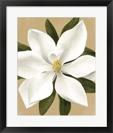 Framed Magnolia on Gold II Print