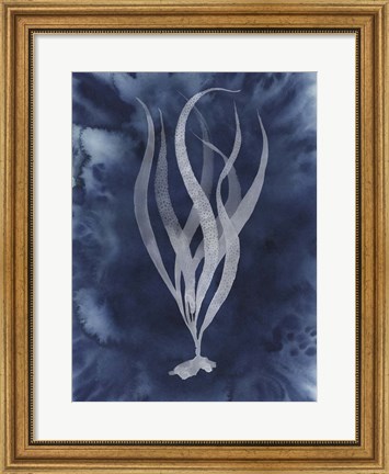 Framed Midnight Kelp I Print