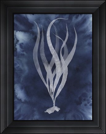 Framed Midnight Kelp I Print