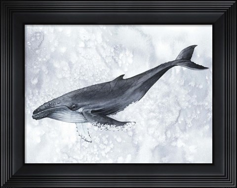 Framed Deep Diver I Print