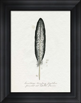 Framed Found Feather II Print