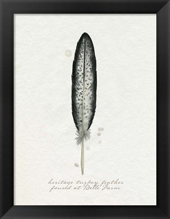 Framed Found Feather II Print