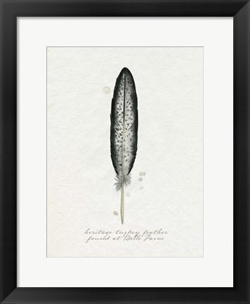 Framed Found Feather II Print