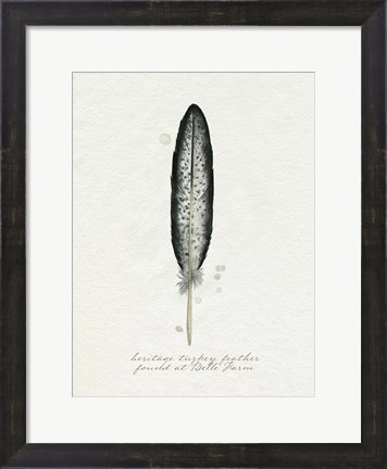 Framed Found Feather II Print