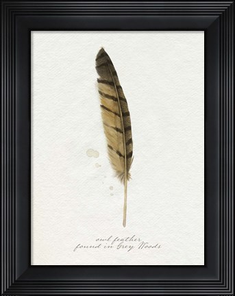 Framed Found Feather III Print