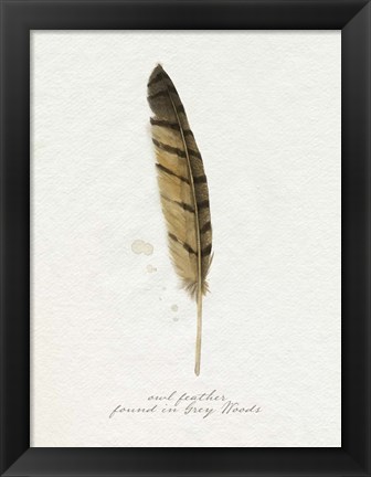 Framed Found Feather III Print