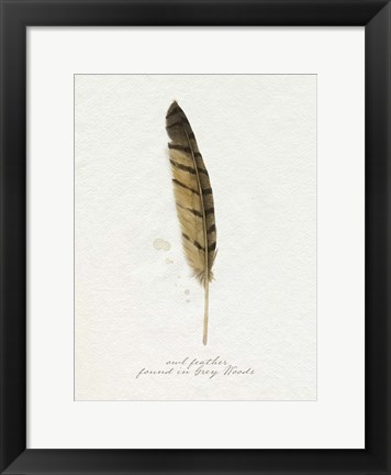 Framed Found Feather III Print