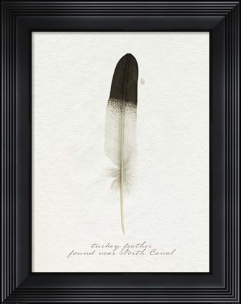 Framed Found Feather IV Print