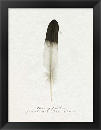 Framed Found Feather IV Print