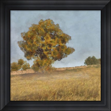 Framed Autumn&#39;s Tranquility II Print