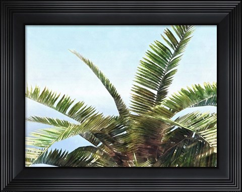 Framed Pleasant Palms I Print