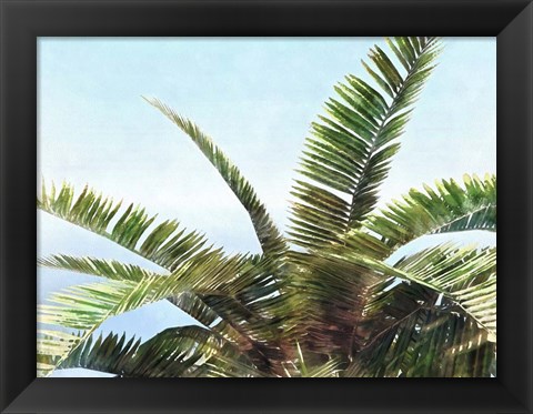 Framed Pleasant Palms I Print