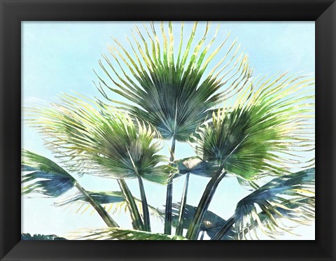 Framed Pleasant Palms II Print