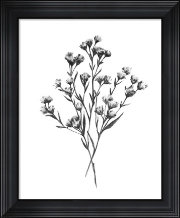Framed Wild Thistle Bundle I Print