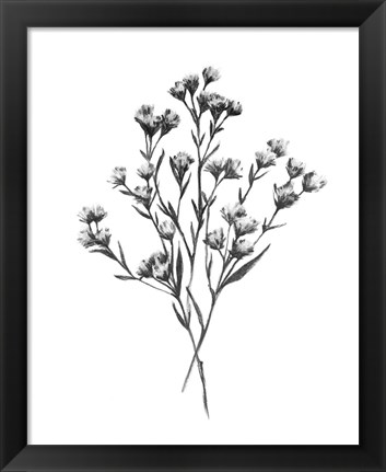 Framed Wild Thistle Bundle I Print