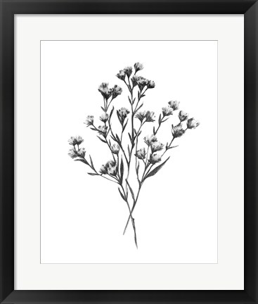 Framed Wild Thistle Bundle I Print