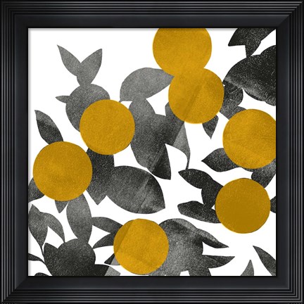 Framed Shadow Branch II Print