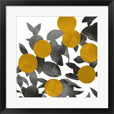 Framed Shadow Branch II Print