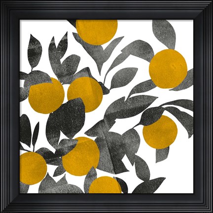 Framed Shadow Branch III Print