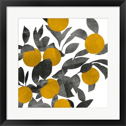 Framed Shadow Branch III Print