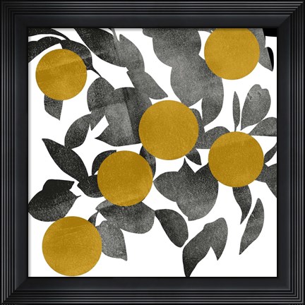 Framed Shadow Branch IV Print