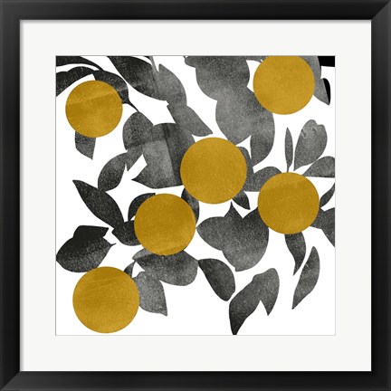 Framed Shadow Branch IV Print