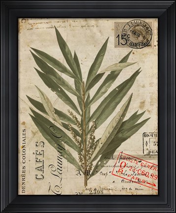 Framed Vintage Nature&#39;s Greenery I Print