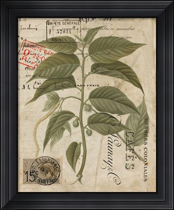 Framed Vintage Nature&#39;s Greenery II Print