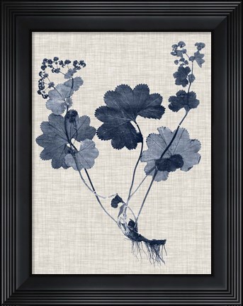Framed Navy &amp; Linen Leaves IV Print