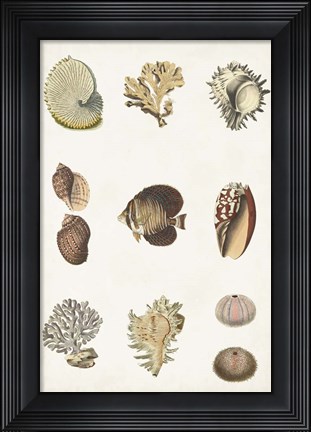 Framed Antique Coastal Chart I Print