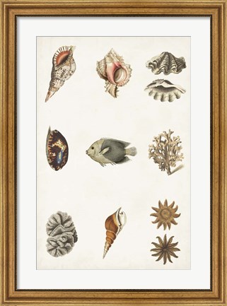 Framed Antique Coastal Chart II Print