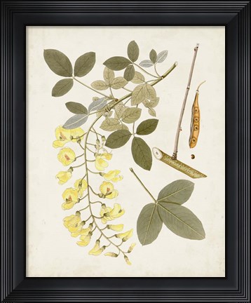 Framed Vintage Flowering Trees VII Print