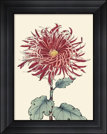Framed Chrysanthemum Woodblock I Print